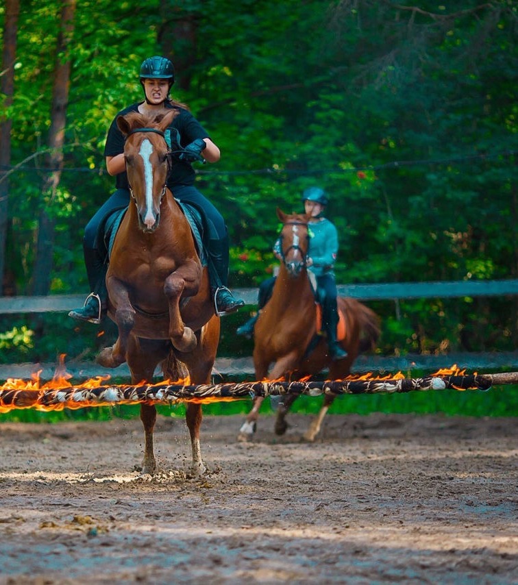 Equestrian Karolina camp for girls