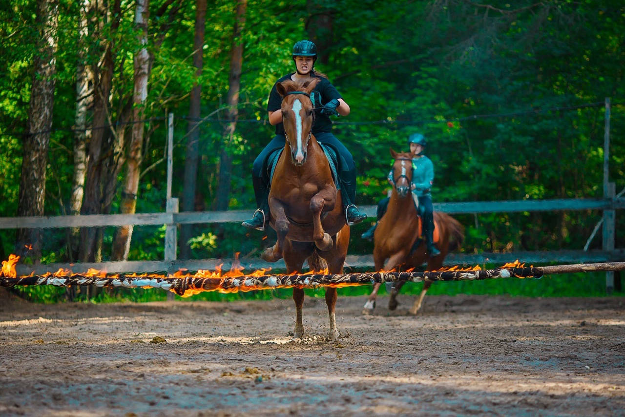 Horseback riding camp program.