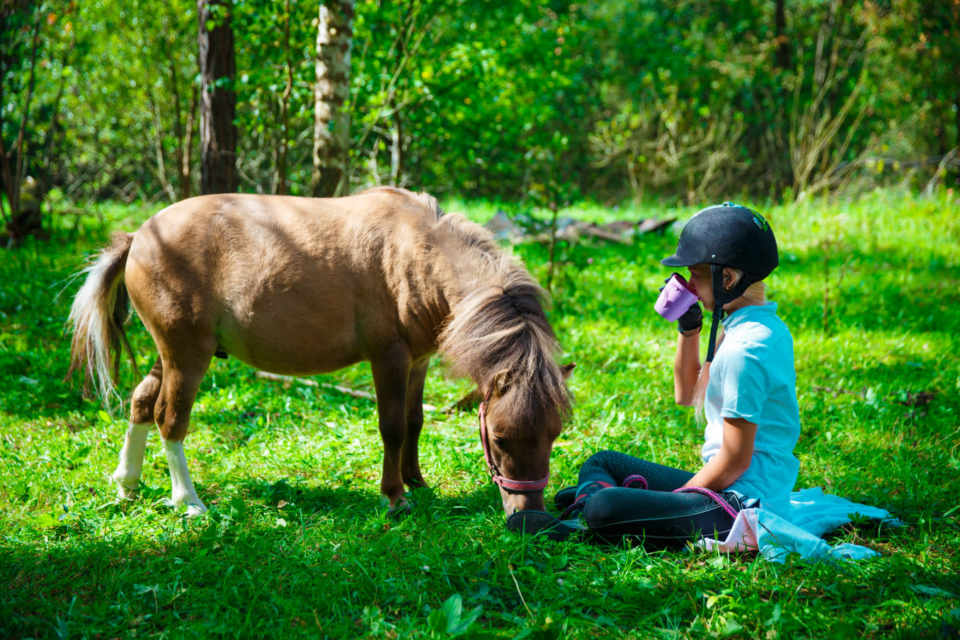 Horses are the eighth wonder of the world!