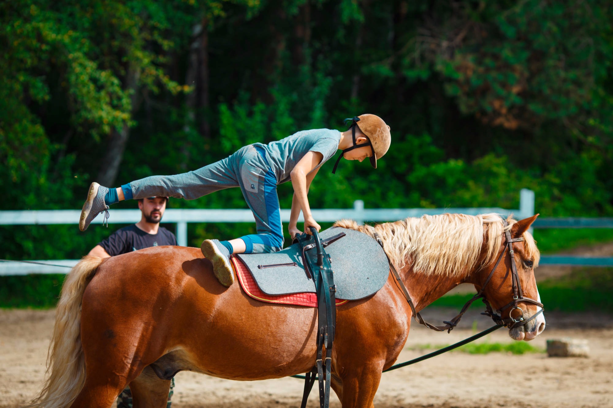 horseback riding (including theory and horse care)