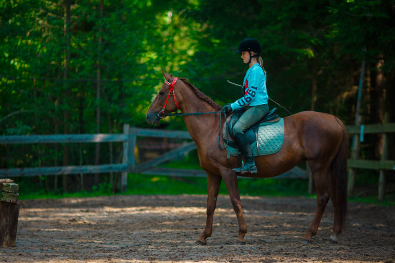 Horseback riding