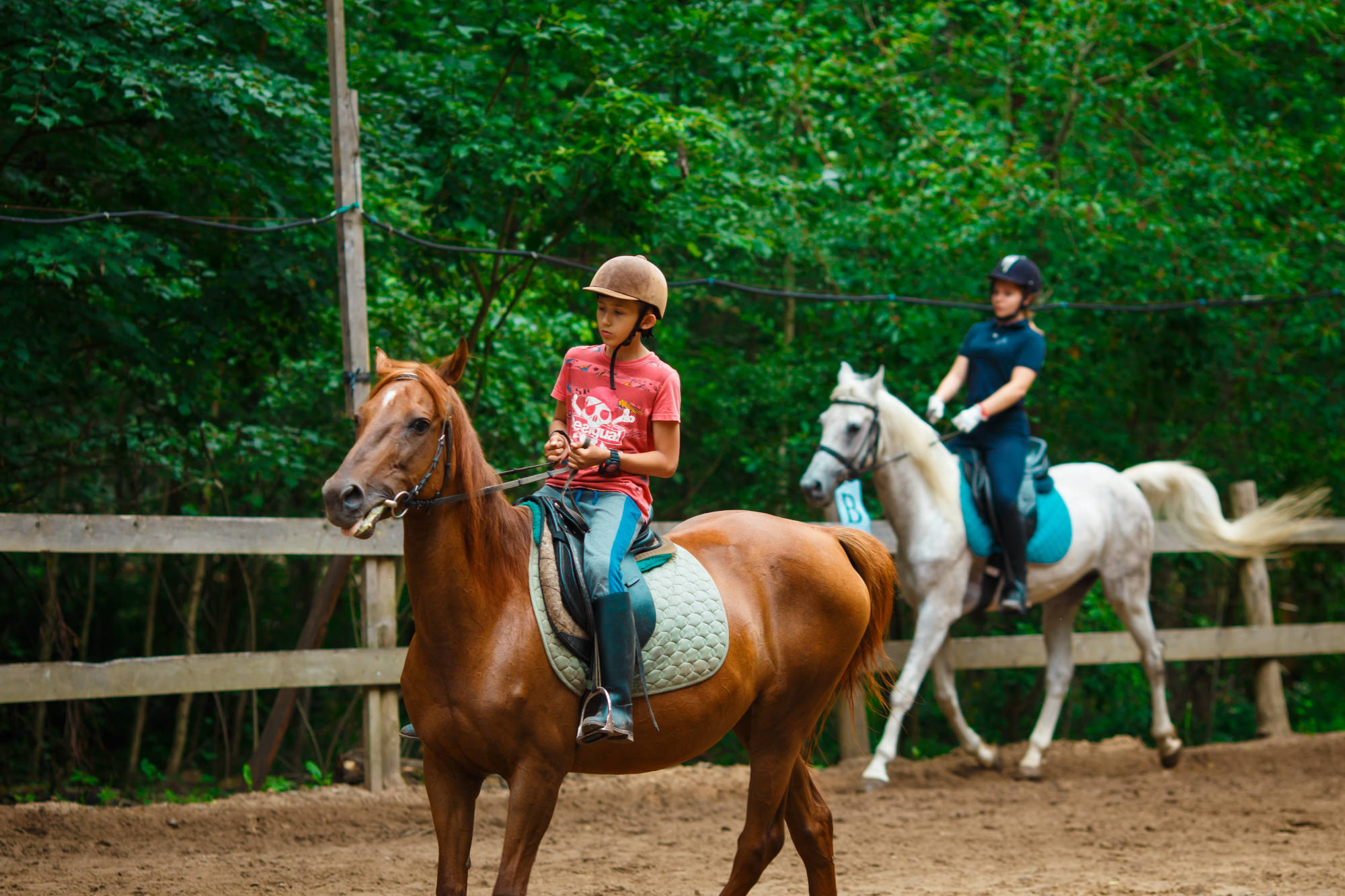 Riding camp. Минский замок конный лагерь. Московская область коный лагерь. Конный лагерь Эклектика Москва. Лагерь конный спорт Москва.